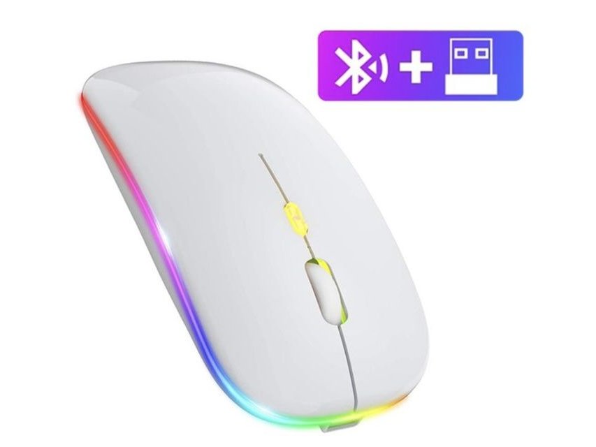 Souris sans fil Bluetooth rechargeable