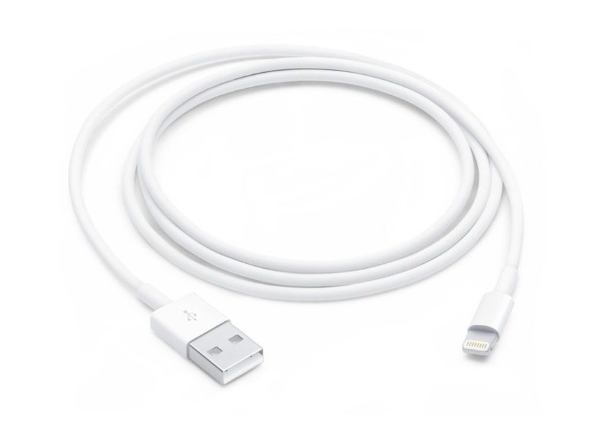 Câble iPhone - Type A vers Lightning (1 m)